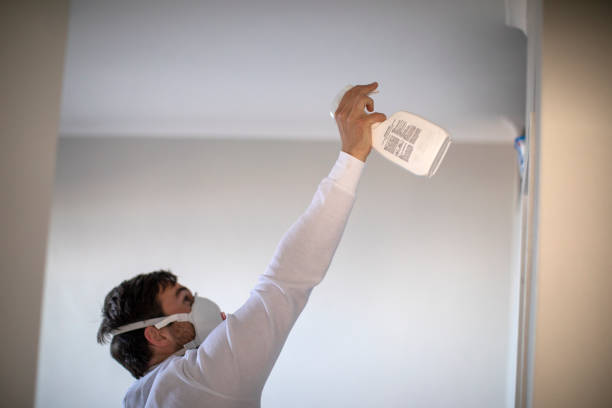 Best Mold Remediation  in Durango, CO