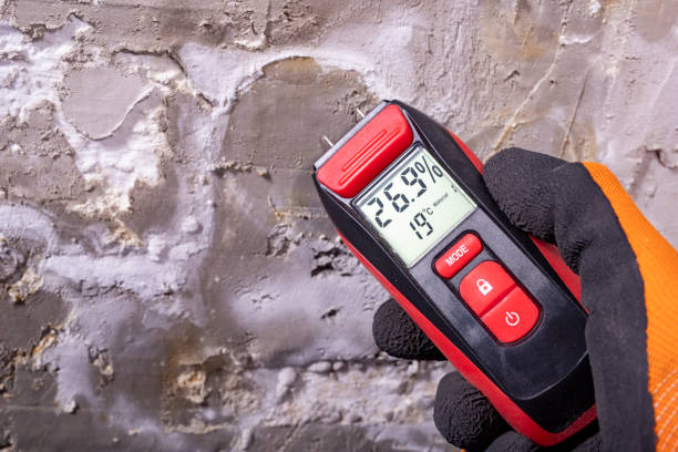 Durango, CO Mold Removal Company